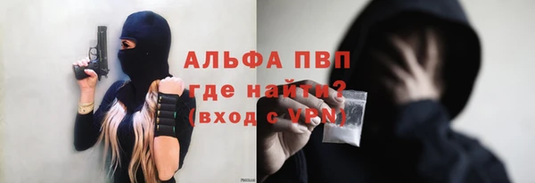 амф Шадринск