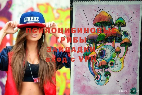 ГАЛЛЮЦИНОГЕННЫЕ ГРИБЫ Киренск